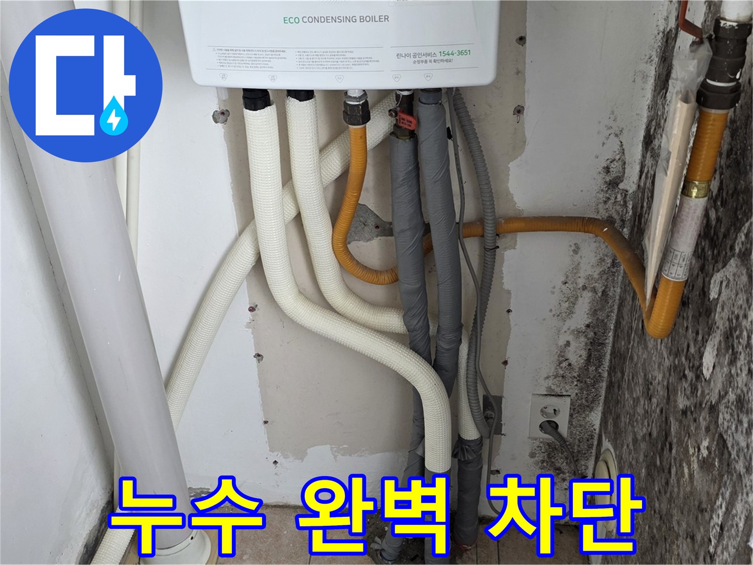 길음동 아파트 누수 해결 - 곰팡이 핀 벽, 보일러 배관 연결부 누수 완벽 차단 성공
