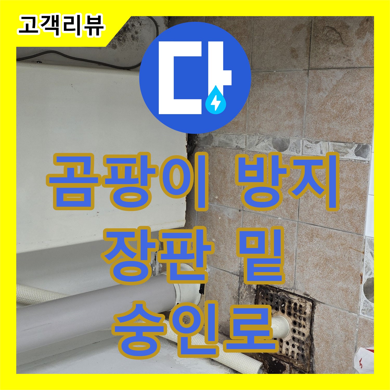 누수업체, 숭인로 주택 장판 밑 누수, 습기 제거 및 곰팡이 방지 시공으로 쾌적하게