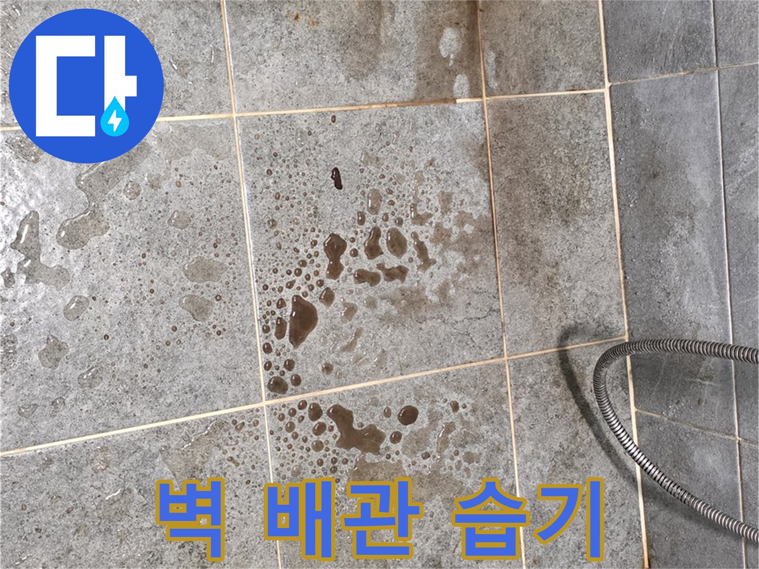 샤워기 벽 배관 누수 의심 - 주변 습기 - 꼼꼼 점검