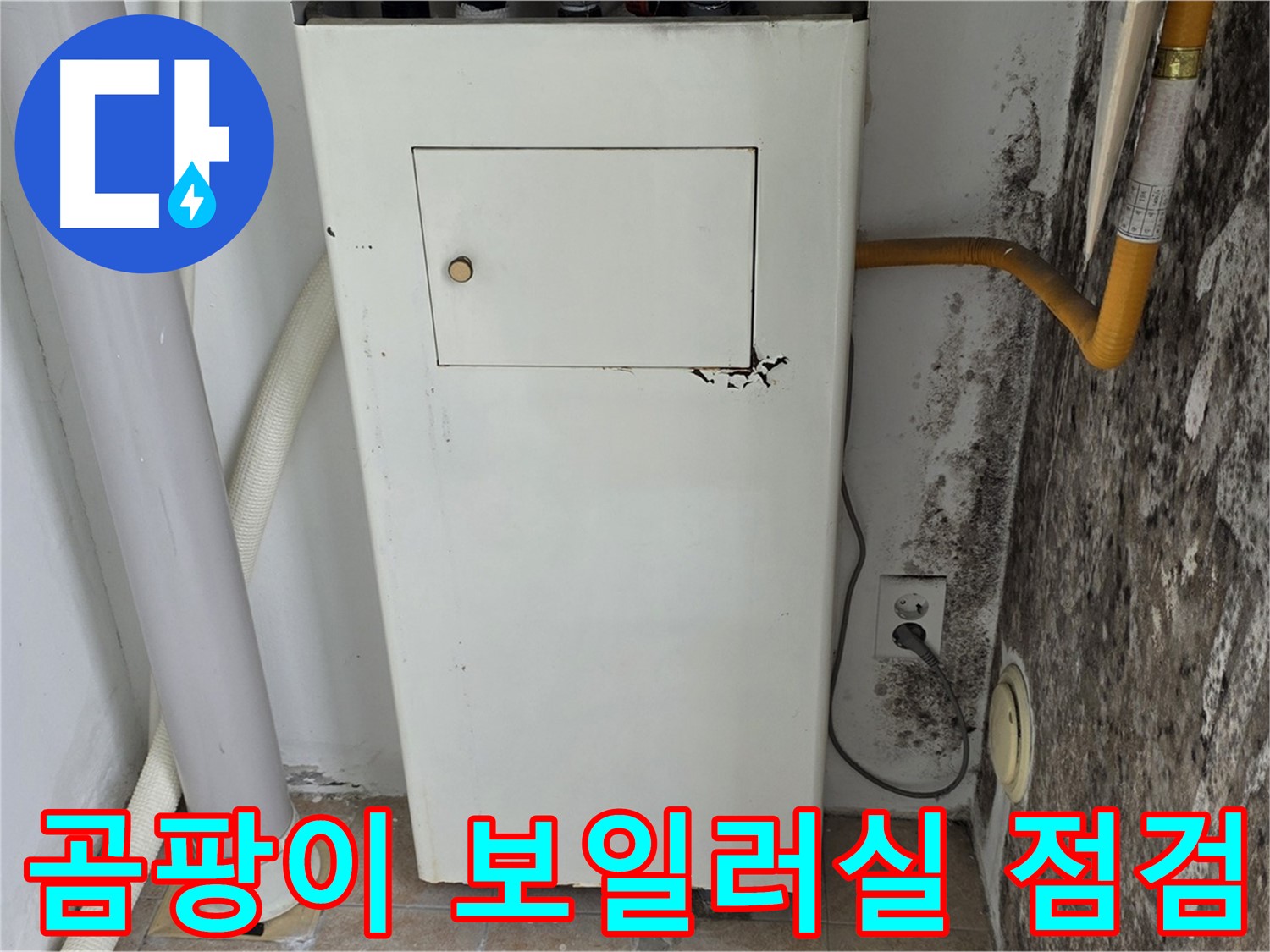 성북구 길음1동 숭인로 - 곰팡이 가득한 보일러실 점검 - 누수 전문가의 꼼꼼한 진단