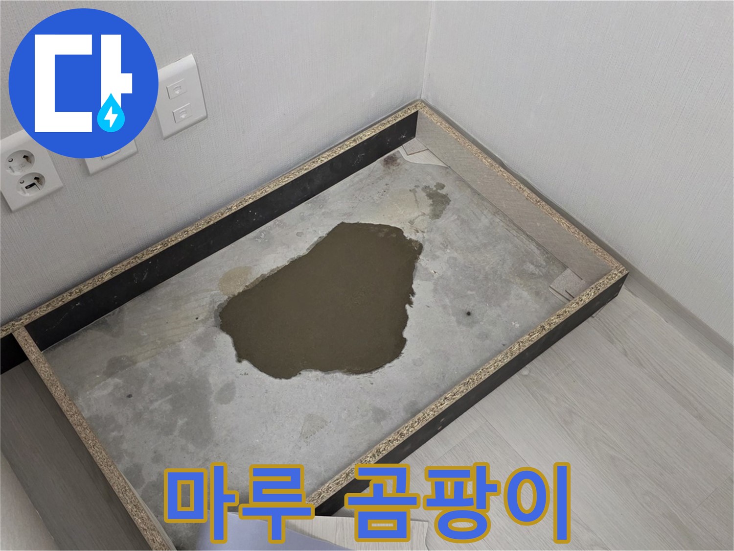 성북구 길음동 누수 - 마루 곰팡이, 누수 원인 철저 분석 및 곰팡이 제거