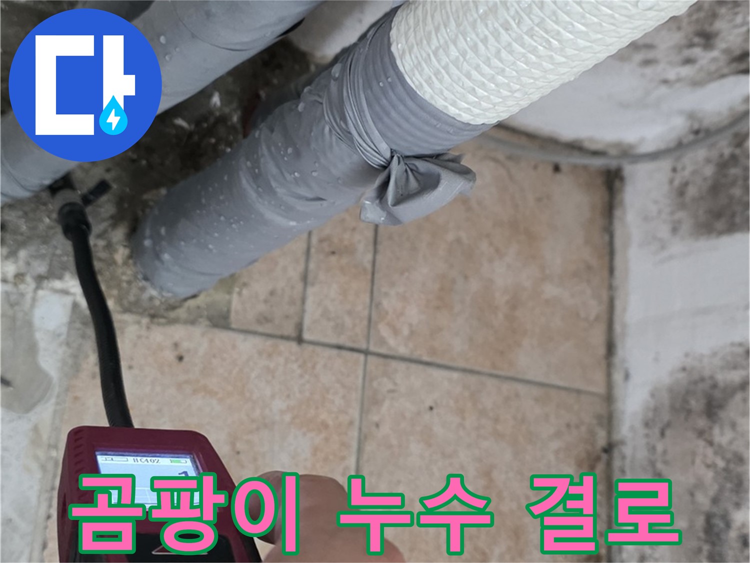 성북구 길음동 누수 현장에서 곰팡이 발생 원인을 파악하고 있습니다 - 누수, 결로, 단열 문제 등 다양한 원인을 꼼꼼히 진단합니다.
