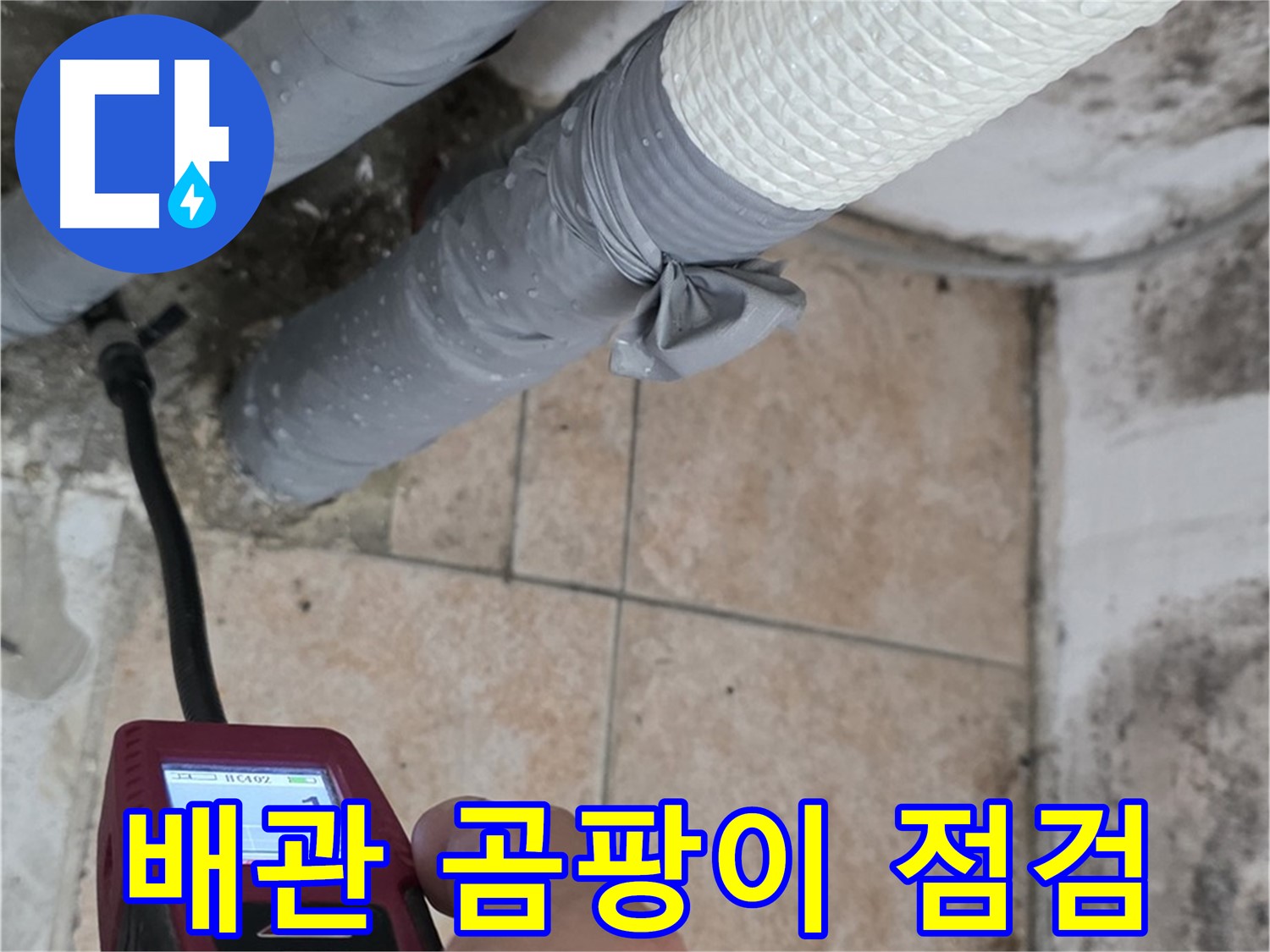 성북구 길음동 누수 현장에서 배관 주변 곰팡이를 꼼꼼하게 점검하고 있습니다 - 누수 초기 증상을 놓치지 마세요.