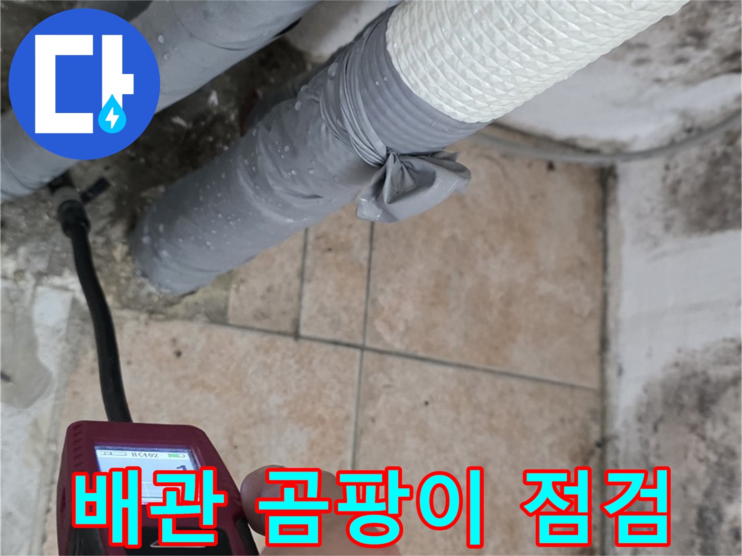 성북구 길음동 누수 현장에서 배관 주변 곰팡이를 꼼꼼하게 점검하고 있습니다 - 누수 초기 증상을 놓치지 마세요.