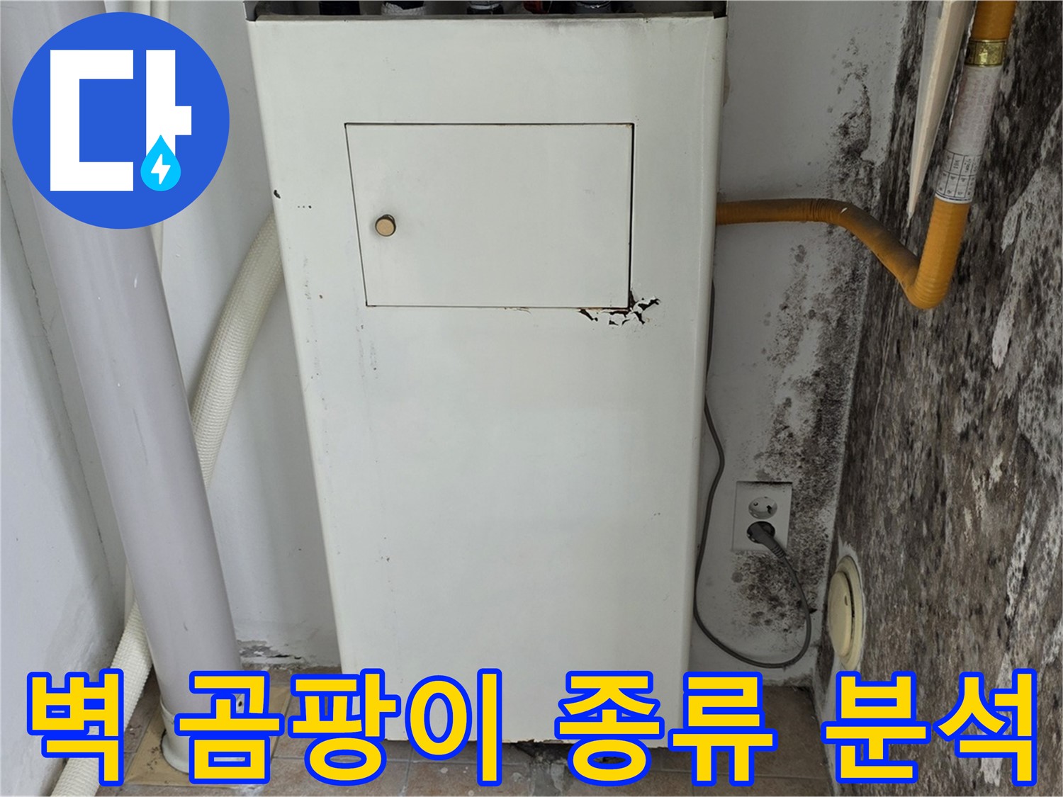 성북구 길음동 숭인로 - 곰팡이 핀 벽 곰팡이 종류 분석 - 누수 전문가의 정확한 분석