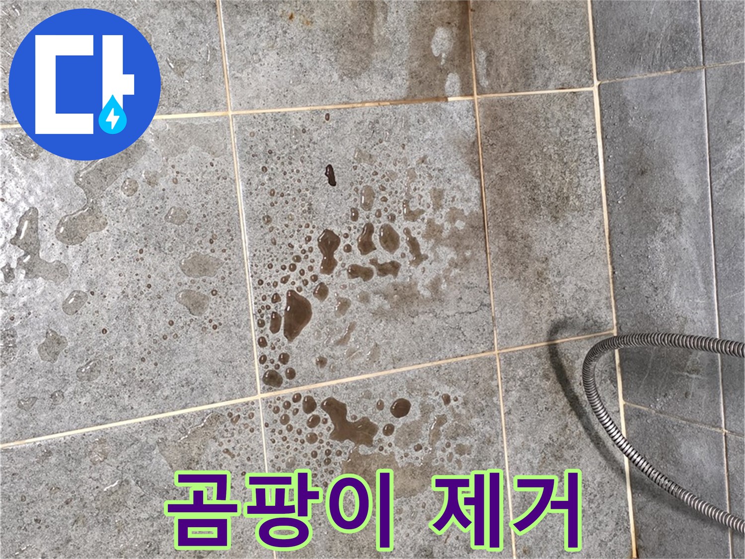 욕실 누수 - 곰팡이 제거, 깨끗한 욕실로 변신