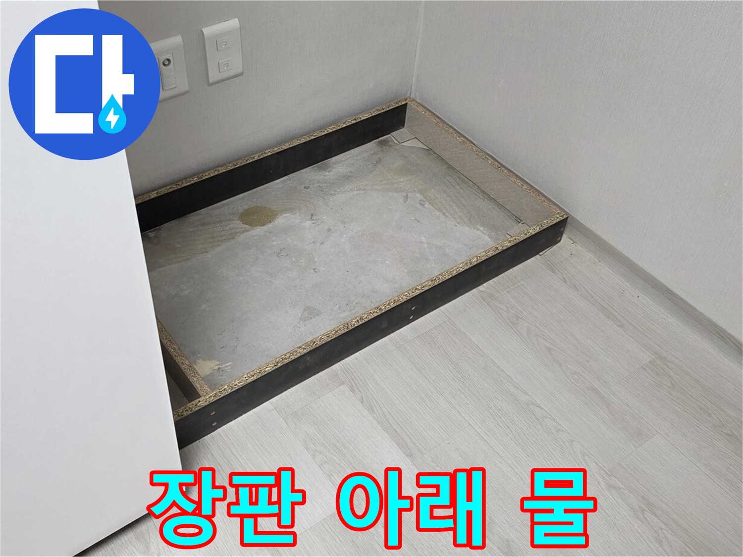 장판 아래 물 - 장판을 걷어내니 드러난 물웅덩이