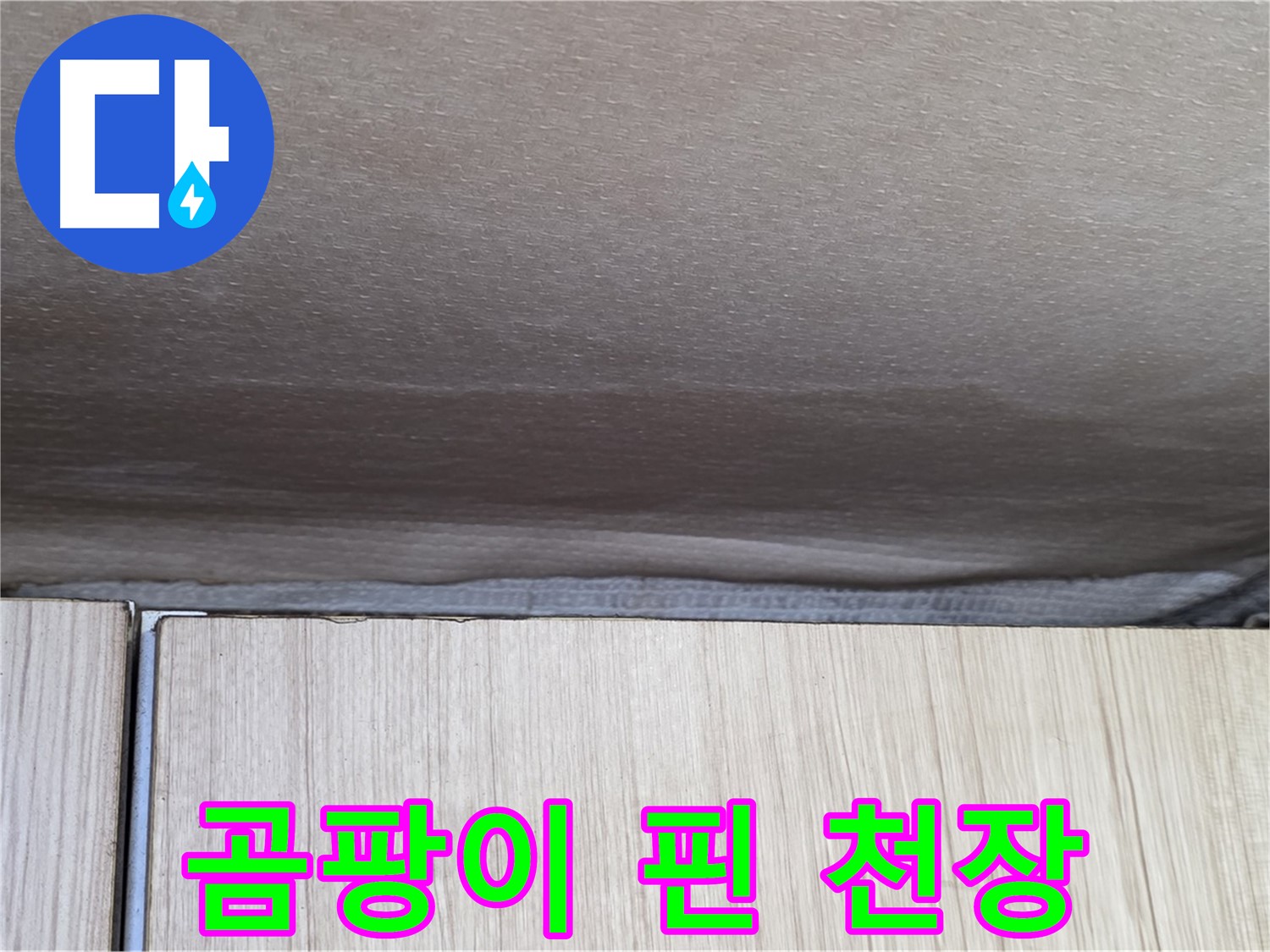 용인시 기흥구 구갈동 누수 - 곰팡이 핀 천장, 건강에 해로운 상황