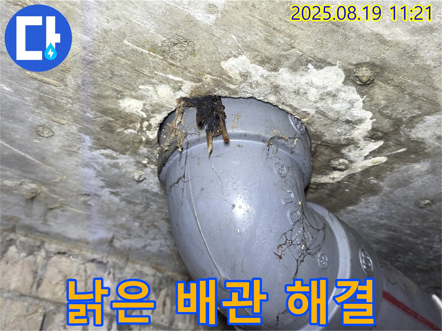수유동 삼광빌라 - 낡은 배관에서 시작된 누수, 하지만 저희가 신속하고 정확하게 해결해 드립니다.