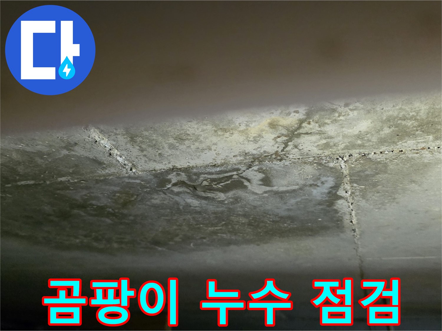 일산서구 가좌동 아파트 곰팡이 핀 천장 - 누수 점검 및 원인 진단