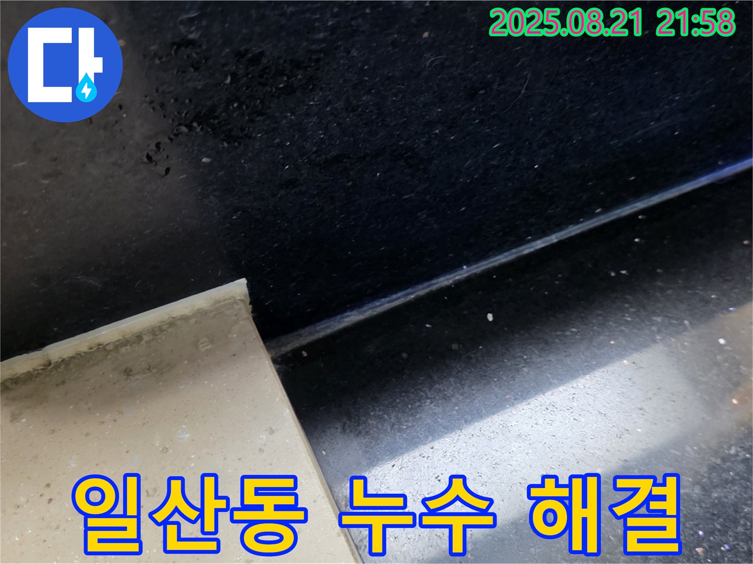 일산서구 일산동 누수 현장 - 곰팡이가 핀 타일 틈새를 집중적으로 점검하며 누수 원인을 분석하는 모습