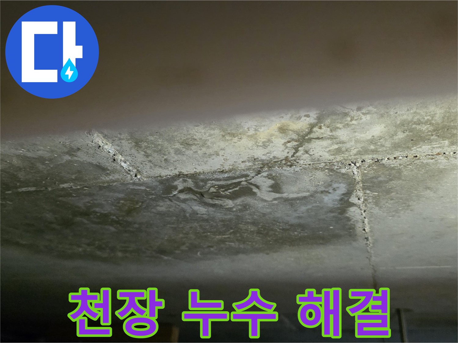 일산서구 하이파크 아파트 천장 누수 해결 - 원인 진단 및 완벽 시공 후기