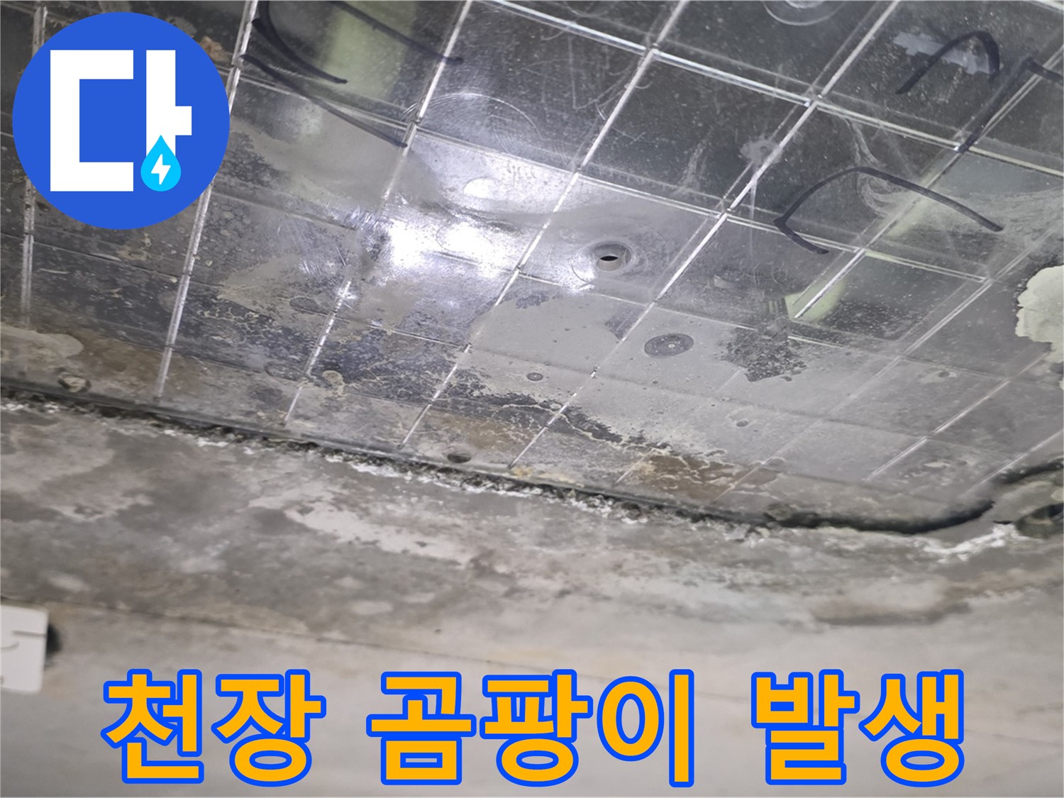 천장 곰팡이 발생 - 누수로 인해 천장에 곰팡이가 번식하고 있습니다.