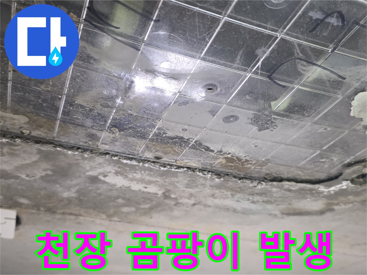 천장 곰팡이 발생 - 누수로 인해 천장에 곰팡이가 심하게 번식하고 있습니다.
