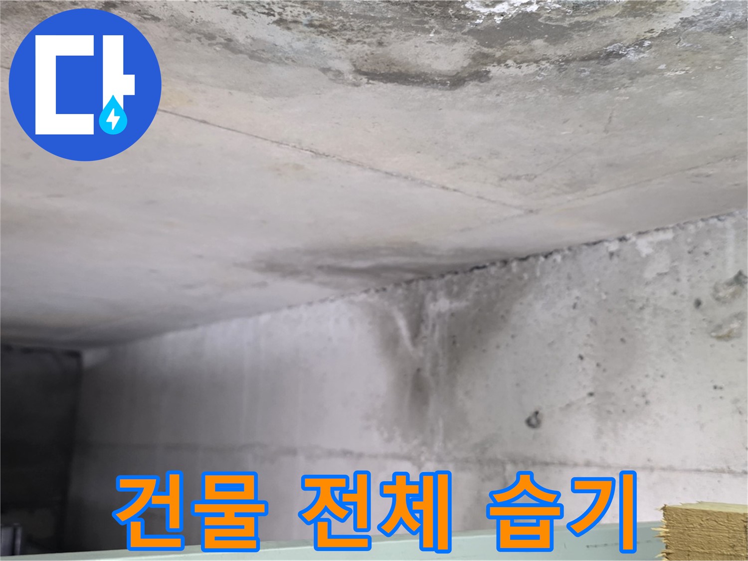 콘크리트 건물 누수와 전체 습기 - 고양시 누수, 건물 전체 문제