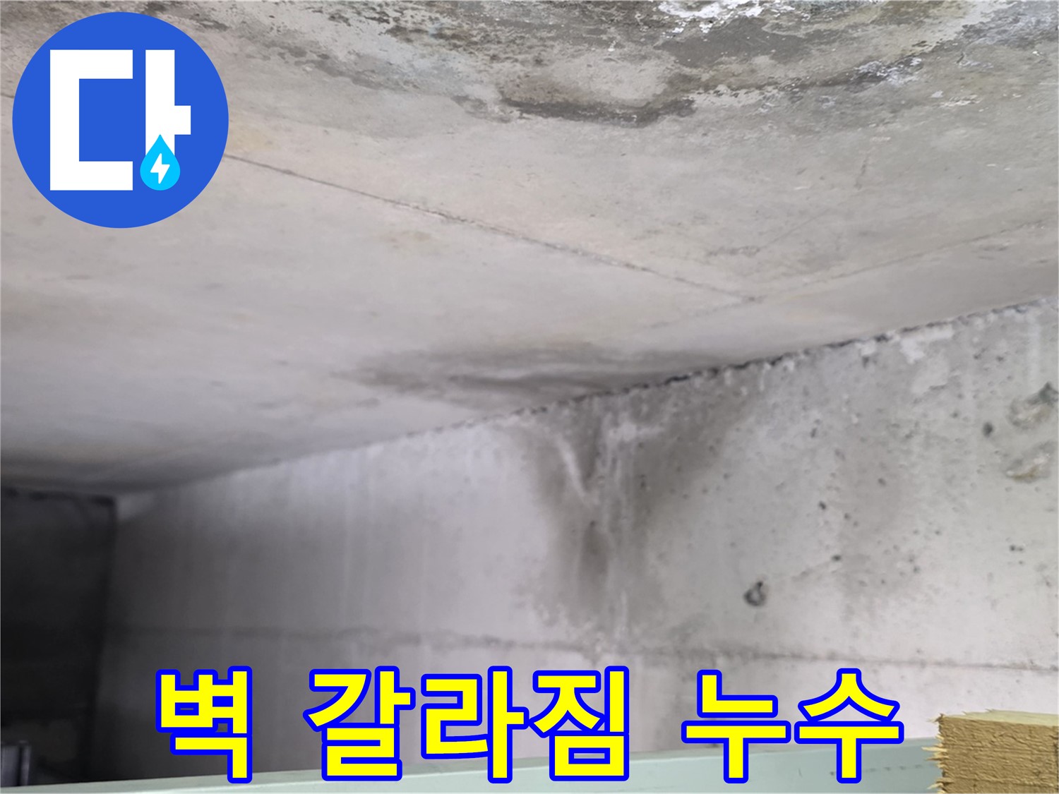 콘크리트 벽 갈라짐과 누수 - 일산서구 누수, 꼼꼼한 점검이 필요