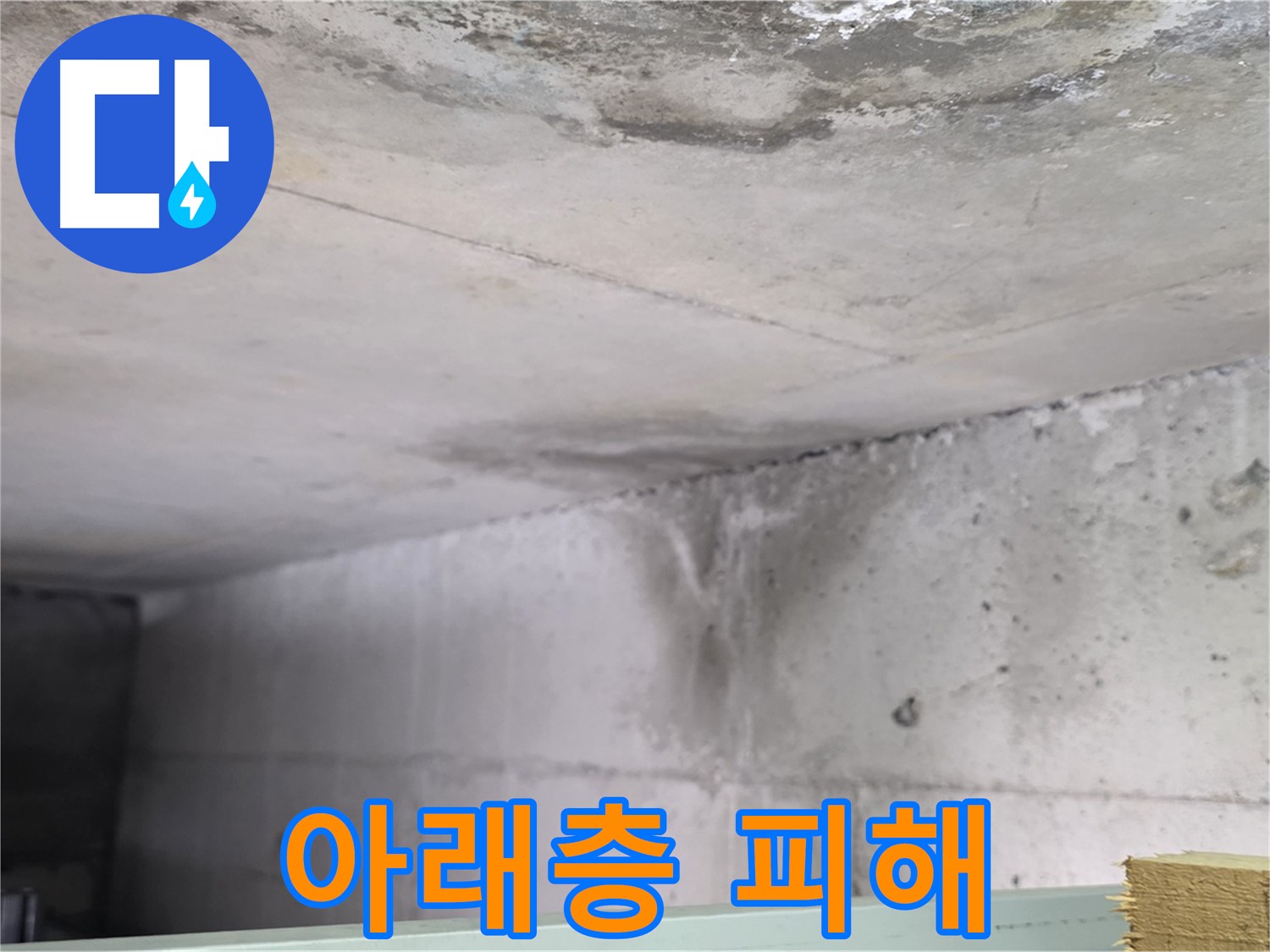 콘크리트 천장 누수 - 일산서구 누수, 아래층 누수 피해 발생