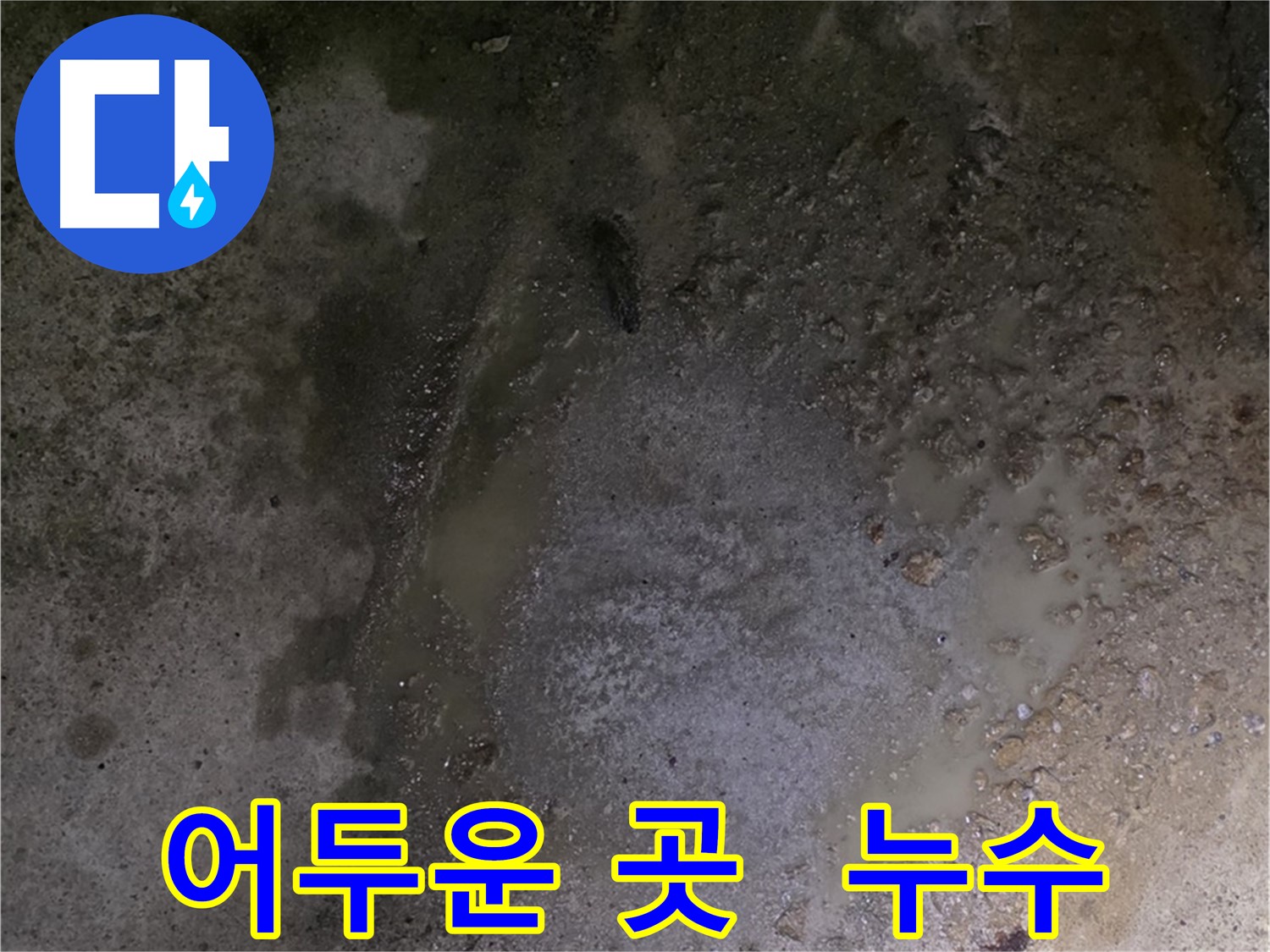 강원도 철원군 서면 와수리 누수 현장 - 어두운 곳에서 발생하는 누수도 놓치지 않고 꼼꼼하게 탐지합니다.