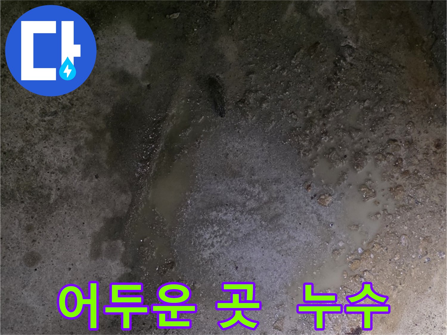 강원도 철원군 서면 와수리 누수 현장 - 어두운 곳에서 발생하는 누수도 놓치지 않고 꼼꼼하게 탐지합니다.