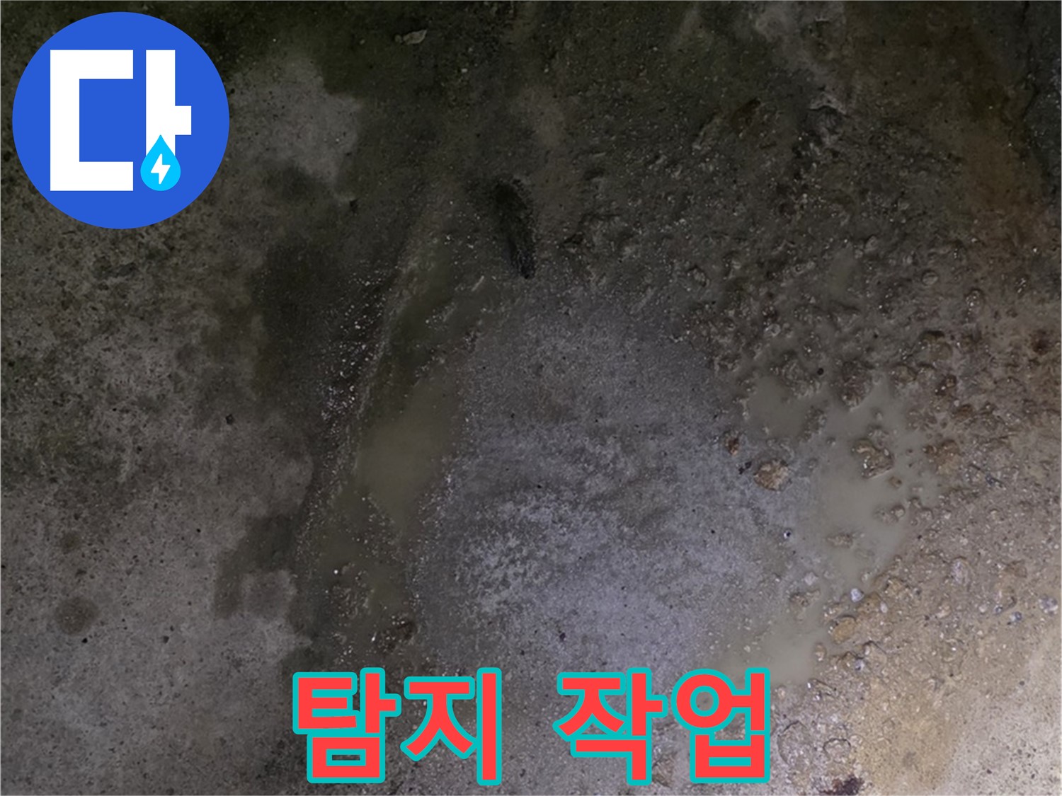 강원특별자치도 철원군 서면 와수리 누수 현장 - 첨단 장비를 사용하여 정확한 누수 지점을 찾기 위한 누수 탐지 작업을 진행하고 있습니다.