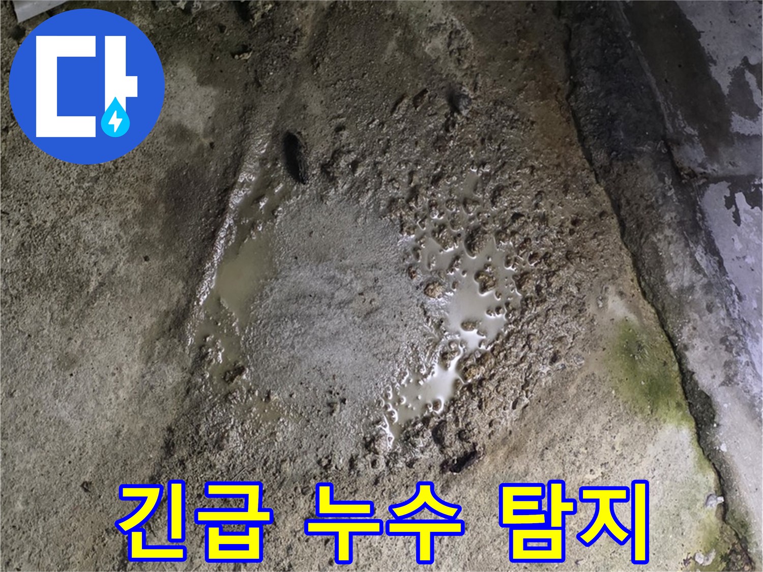 철원군 서면 와수리 - 긴급 누수 상황에 신속하게 대응하는 누수탐지 전문가의 모습입니다.