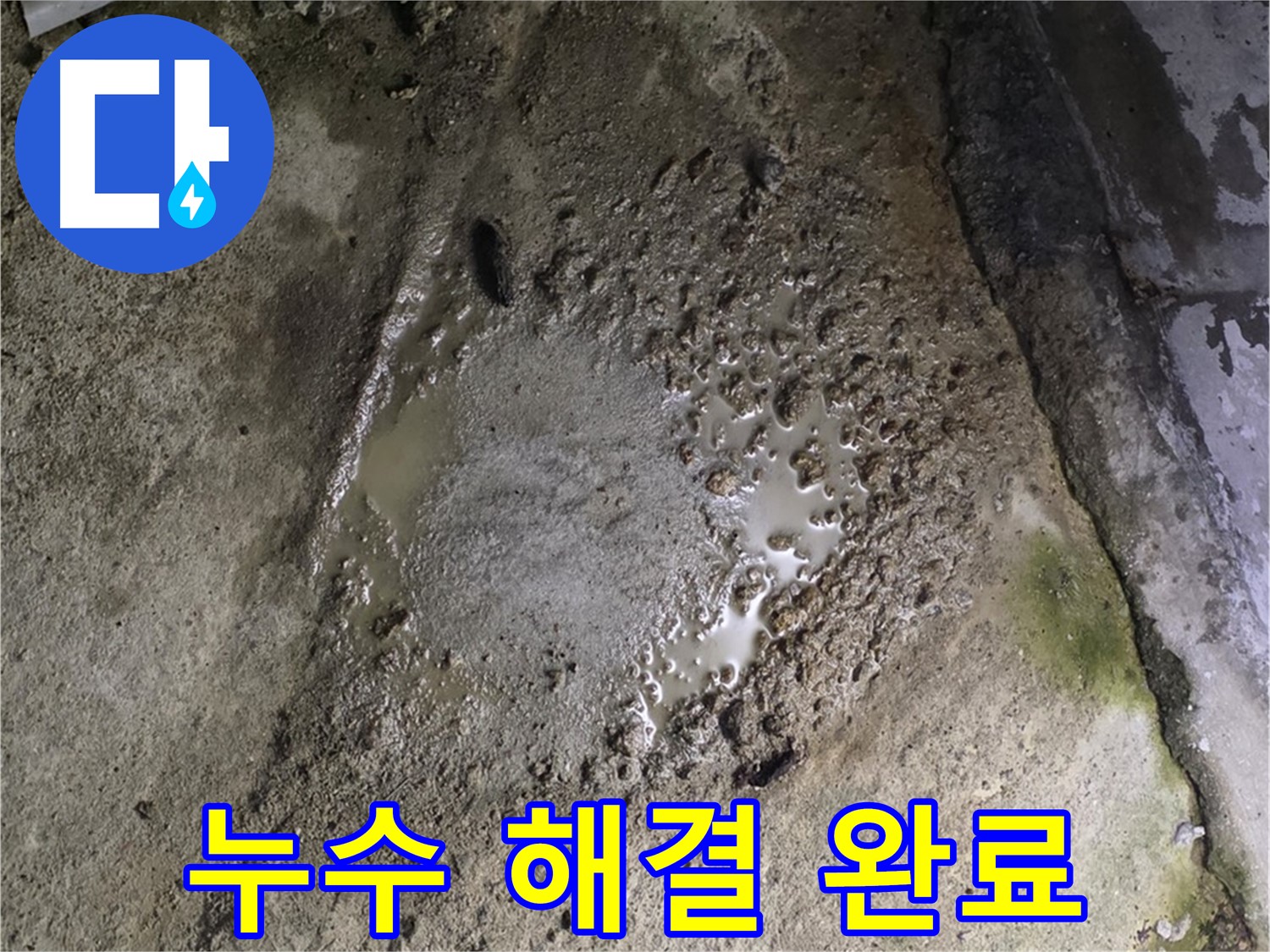 철원군 서면 와수리 - 누수 문제를 완벽하게 해결한 콘크리트 건물의 쾌적한 모습입니다.