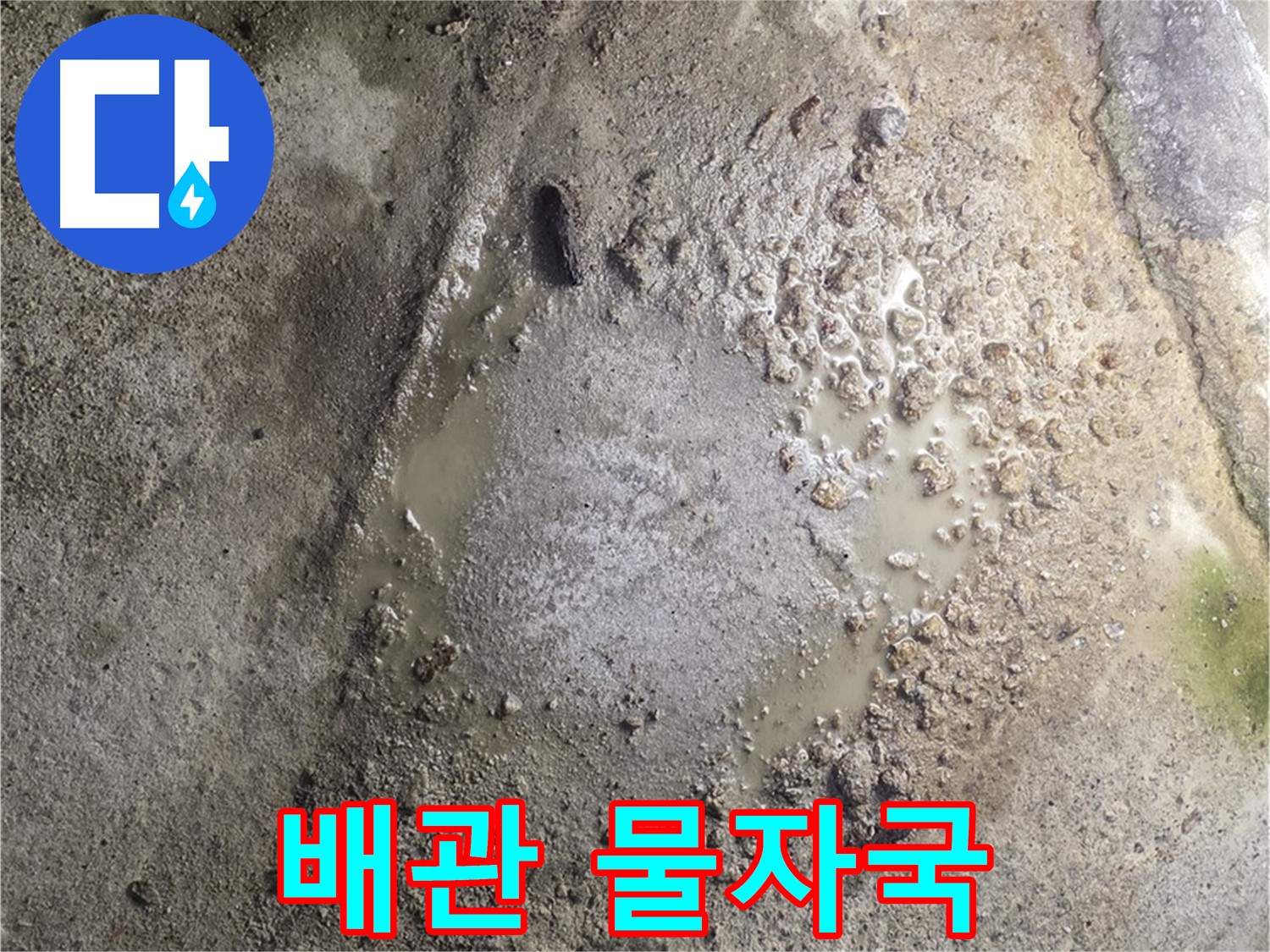 철원군 서면 와수리 누수 - 배관 주변 물 자국, 누수 가능성을 꼼꼼하게 진단합니다.