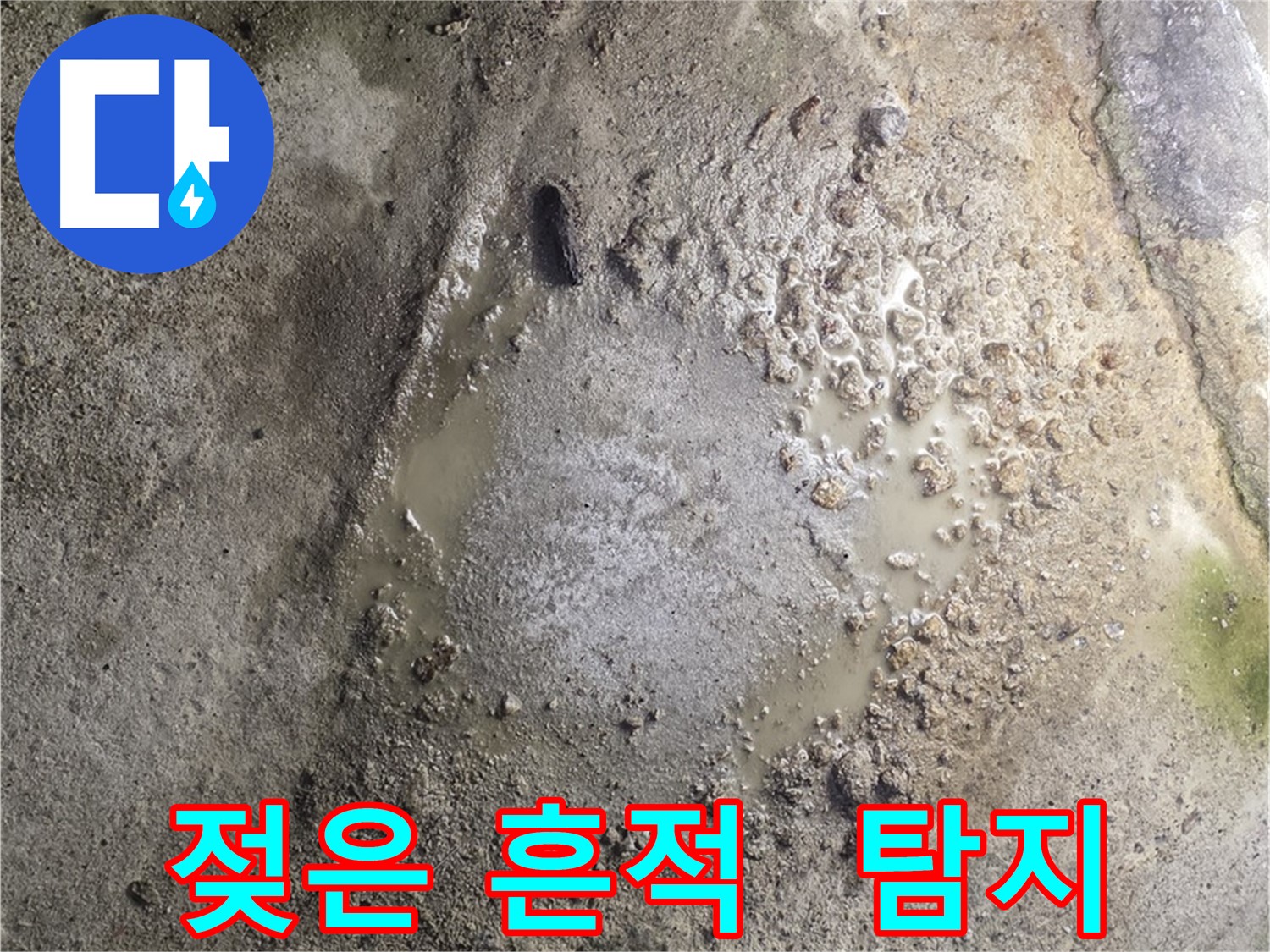 철원군 서면 와수리 누수 - 젖은 흔적, 누수 탐지 베테랑이 확실하게 책임지고 해결합니다.