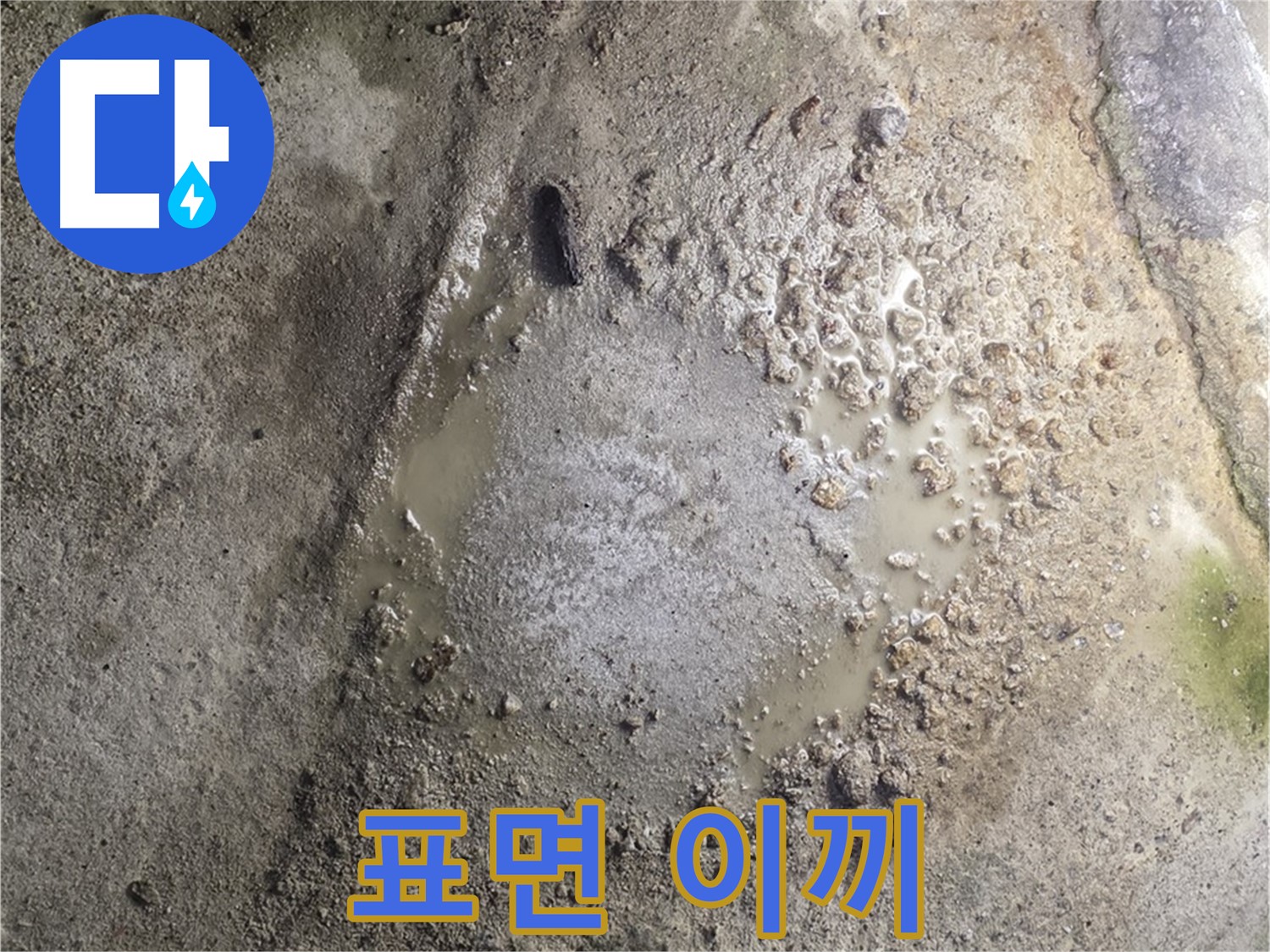 철원군 서면 와수리 누수 - 콘크리트 표면에 이끼가 낀 것은 지속적인 습기와 누수가 있다는 증거입니다 - 근본적인 해결책이 필요합니다.