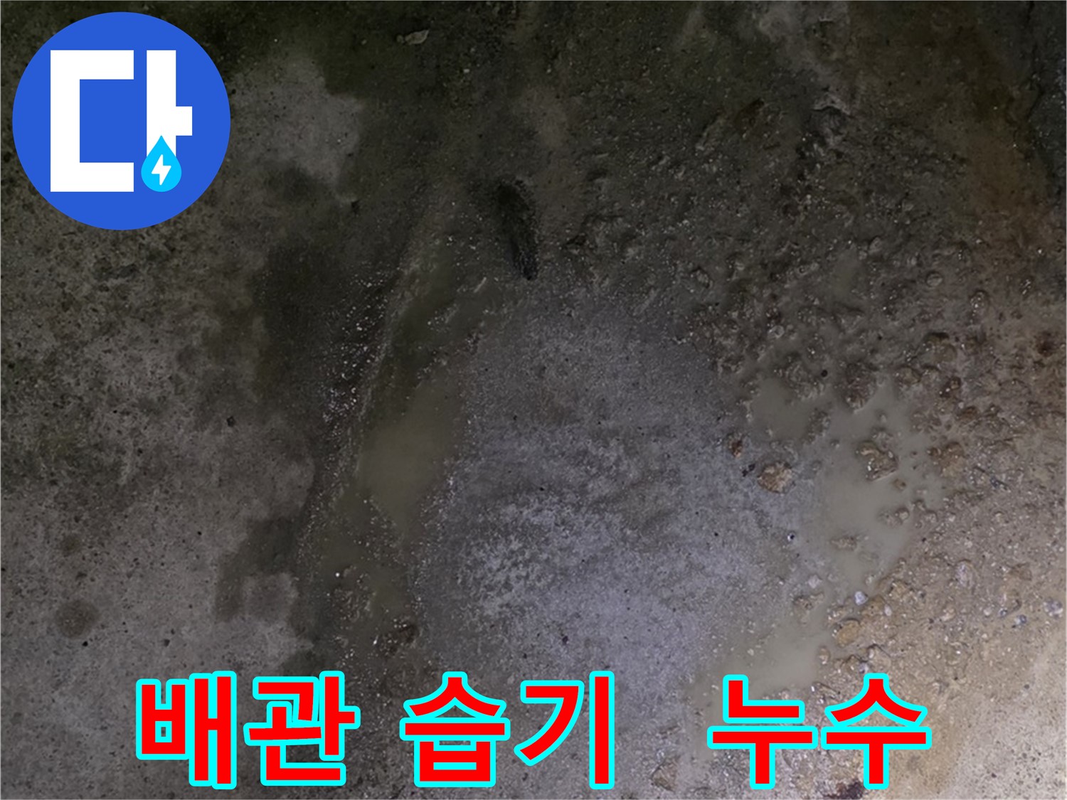 철원군 서면 와수리 누수 현장 - 배관 주변에 습기가 차 있는 모습, 누수를 의심해 볼 수 있습니다.