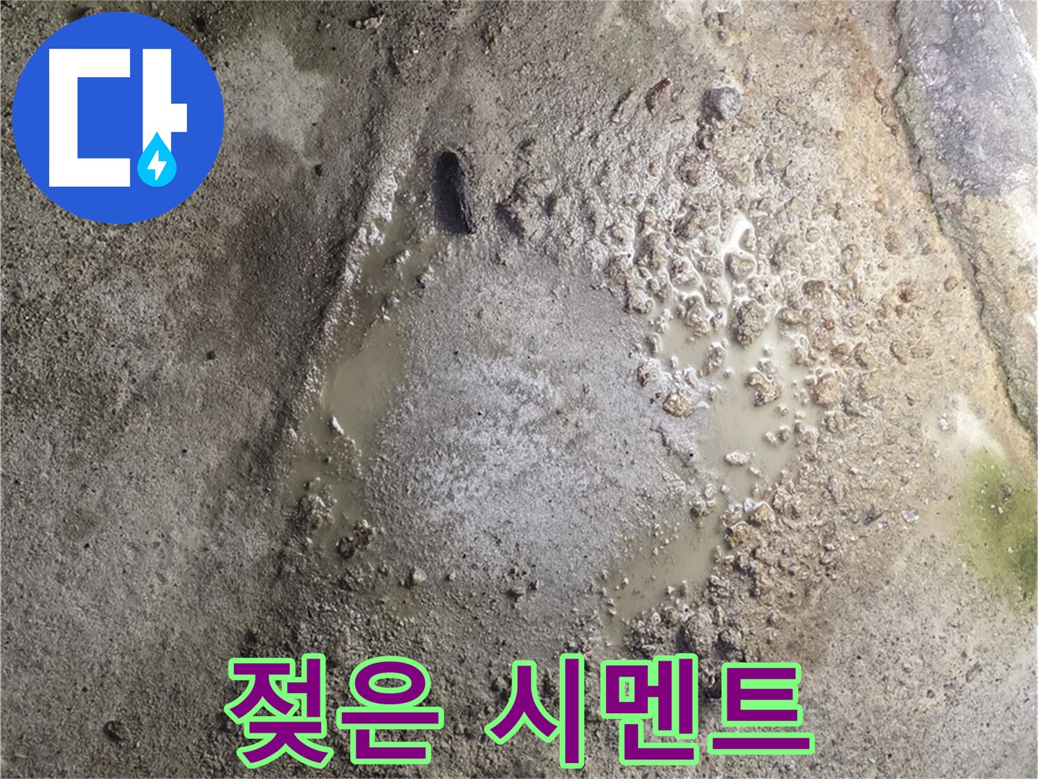 철원군 서면 와수리 누수 현장 - 젖은 시멘트, 누수 탐지 전문가의 꼼꼼한 손길로 해결합니다.