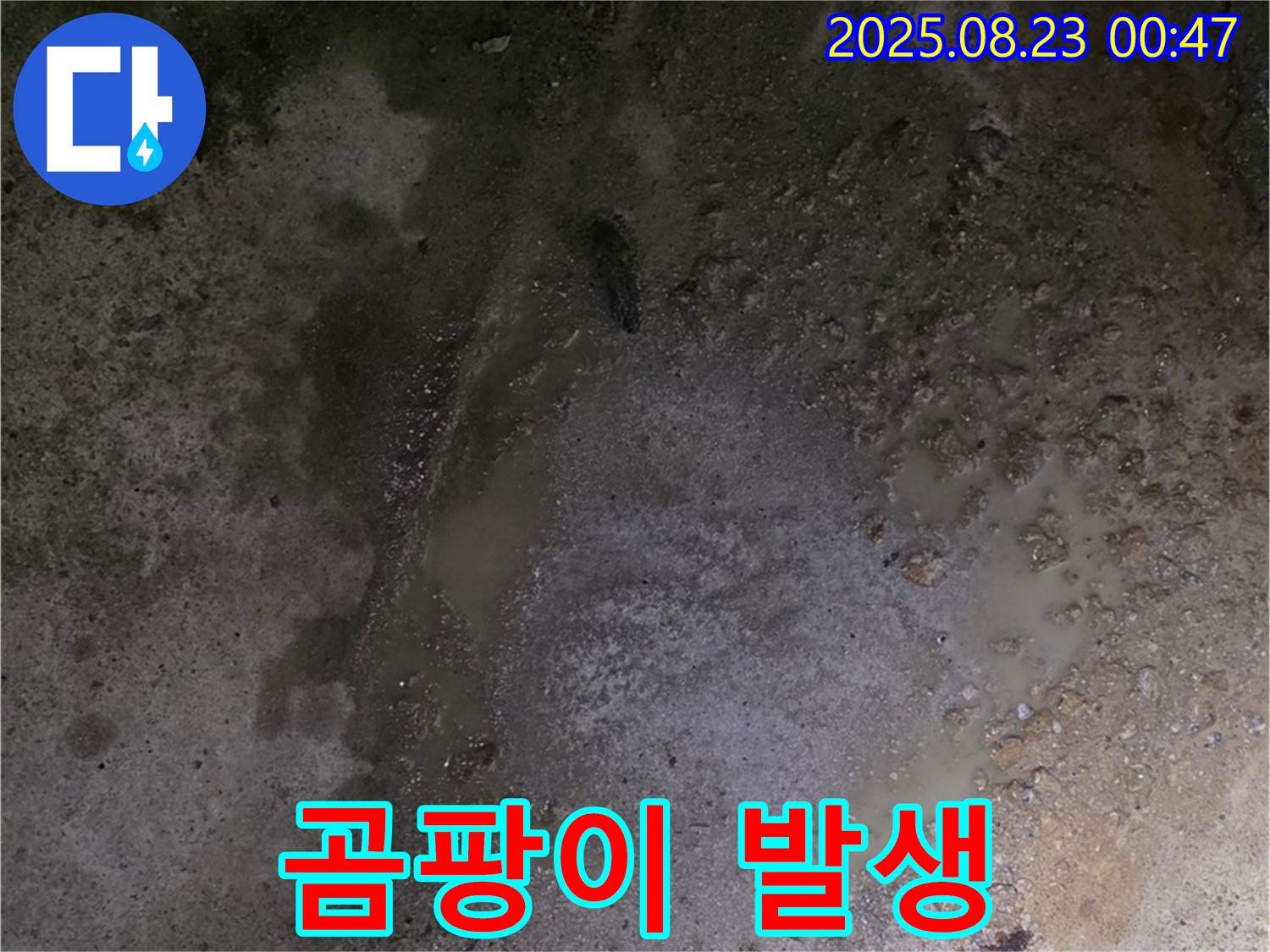 철원군 서면 와수리 누수 현장 - 콘크리트 바닥에 물이 고여 곰팡이가 발생했습니다 - 습한 환경은 곰팡이 번식에 최적의 조건입니다.