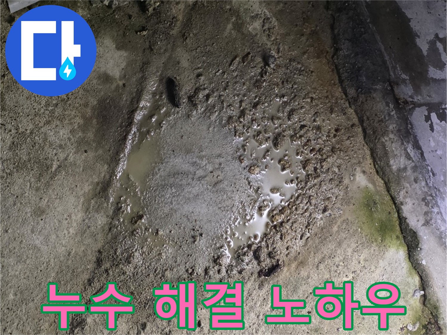 철원군 서면 와수리 - 오랜 경험과 노하우를 바탕으로 누수 문제를 해결하는 전문가의 모습입니다.