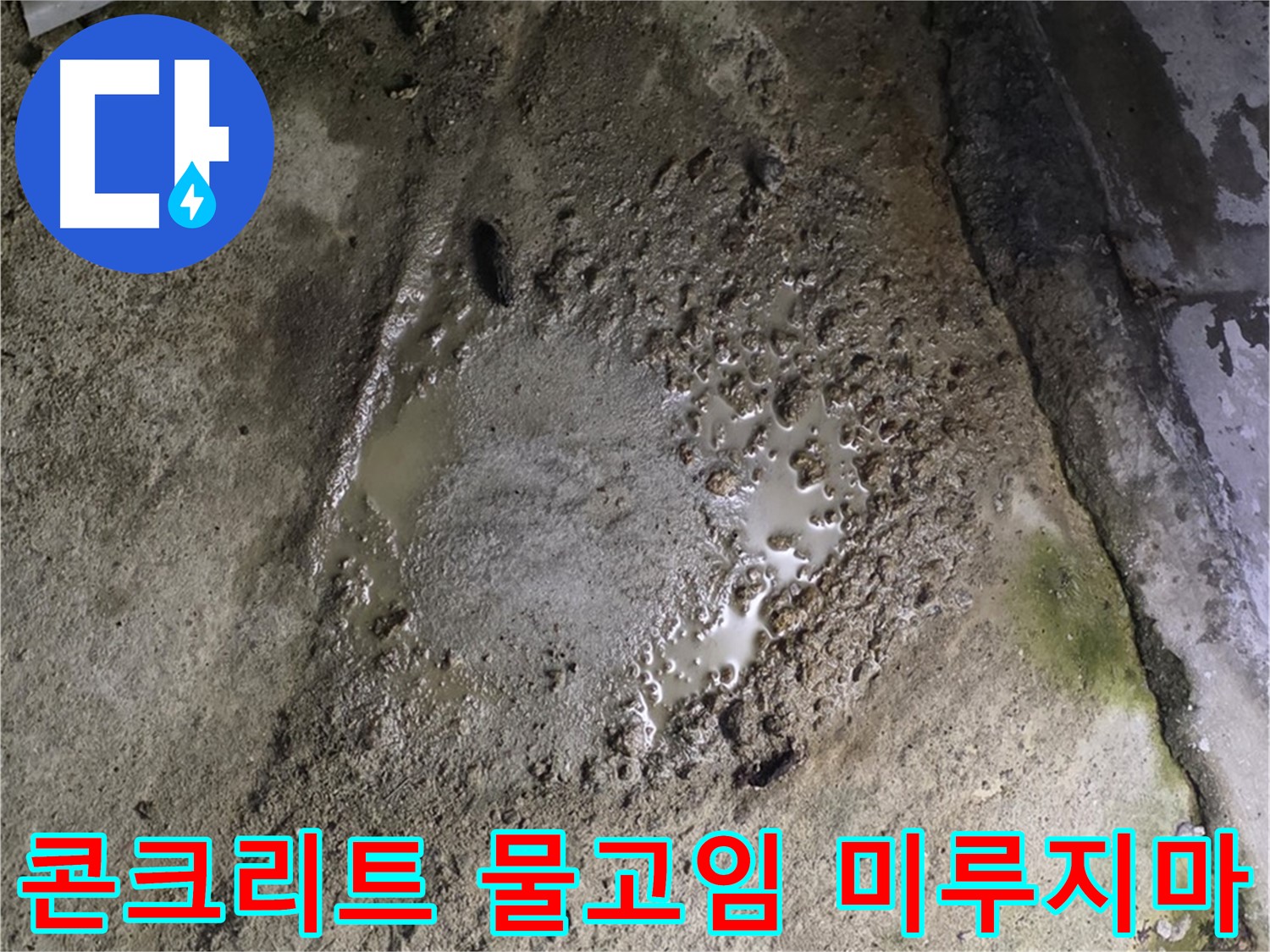 철원군 서면 와수리 - 콘크리트 바닥에 물이 고여있는 심각한 상황, 미루지 말고 전문가에게 연락하세요.
