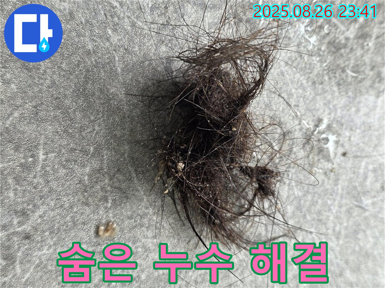 김포 장기동 누수탐지 - 배수구 속 숨은 누수, 완벽하게 해결!