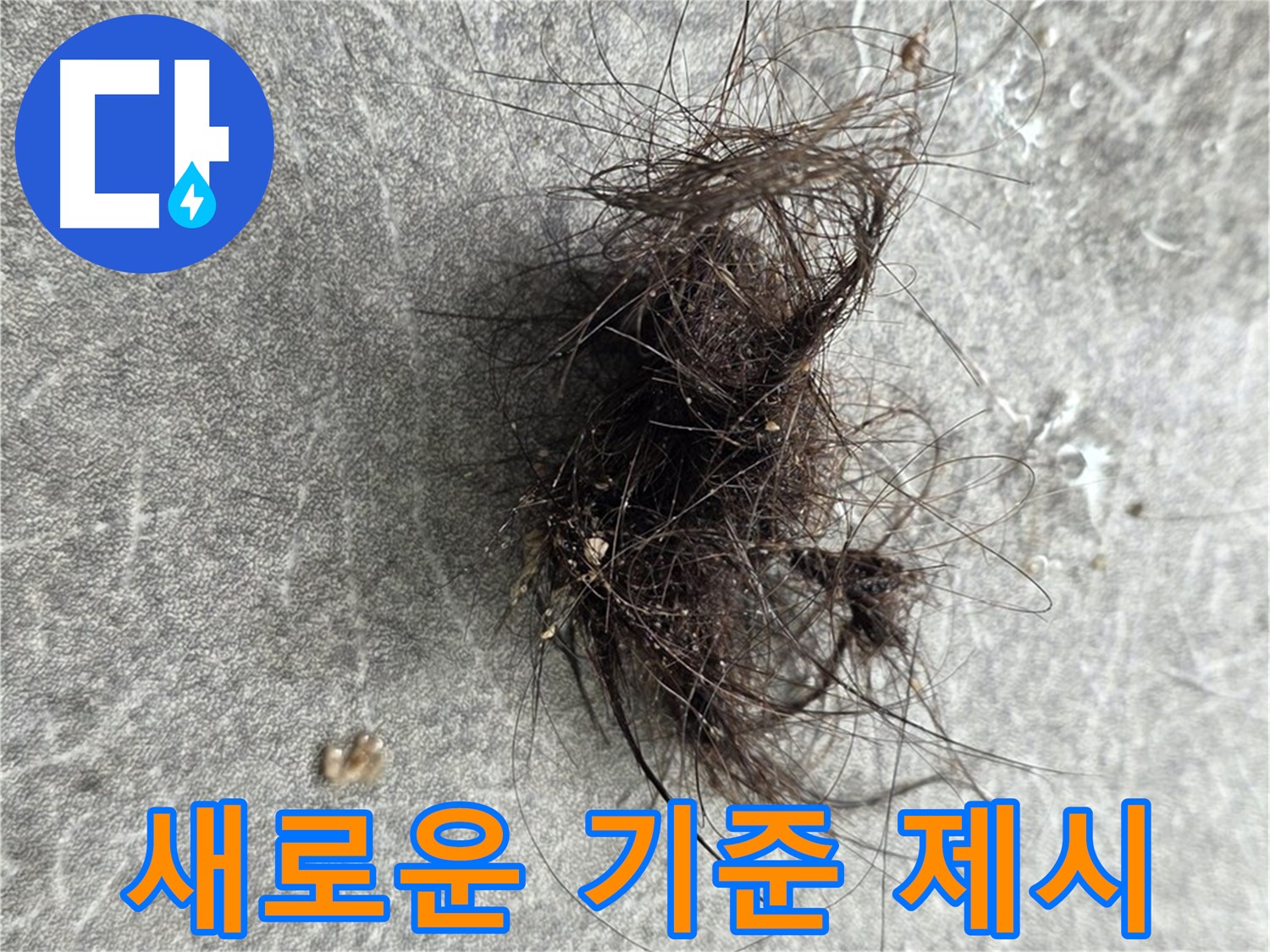 누수 탐지의 새로운 기준 제시 - 정확하고 신뢰할 수 있는 누수 탐지 서비스를 제공합니다.