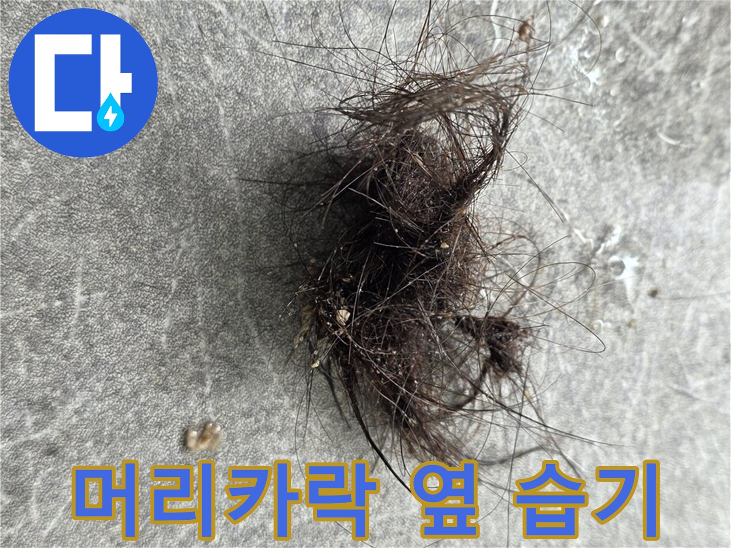 머리카락 옆 습기 - 머리카락 옆 습기, 미세 누수를 의심해 보세요.