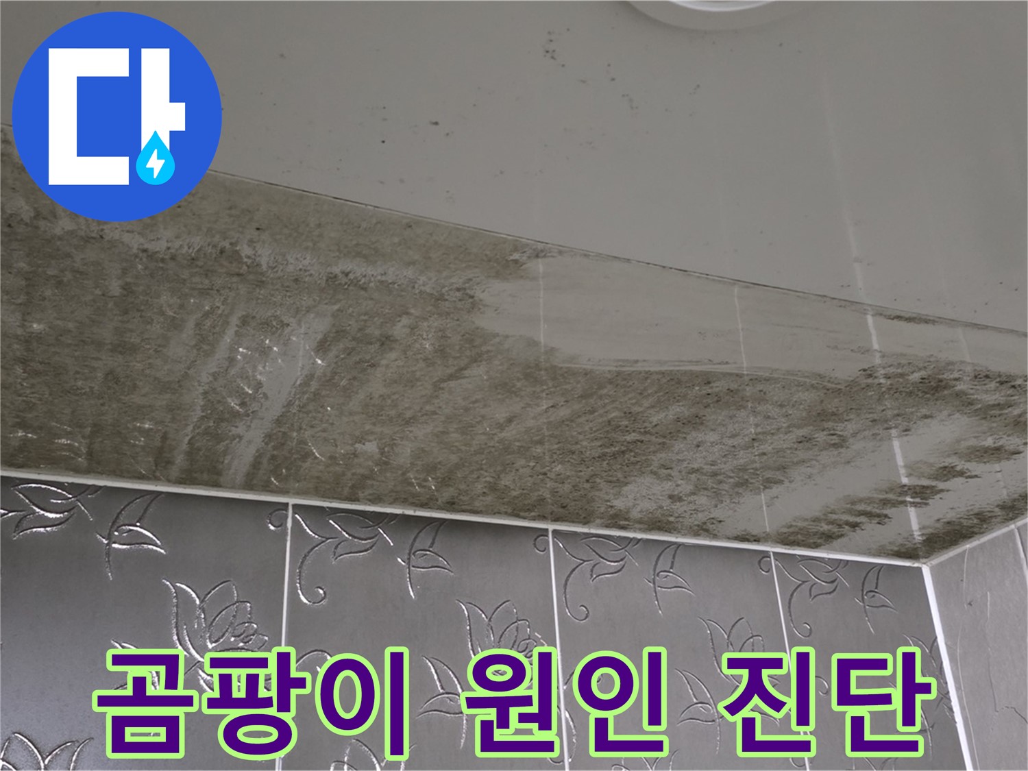 곰팡이 가득한 욕실 - 숨은 누수 지점을 찾아 완벽하게 해결하는 과정!