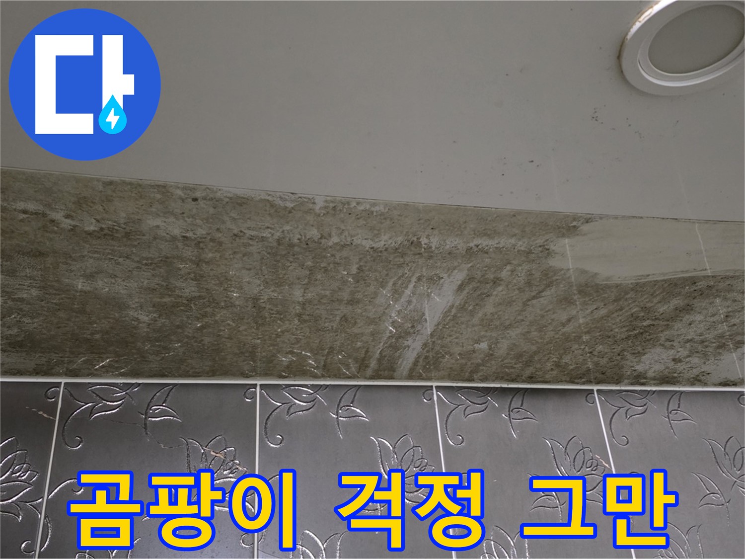 곰팡이 심한 욕실 - 누수, 완벽 해결! 곰팡이 걱정, 이제 그만하세요!