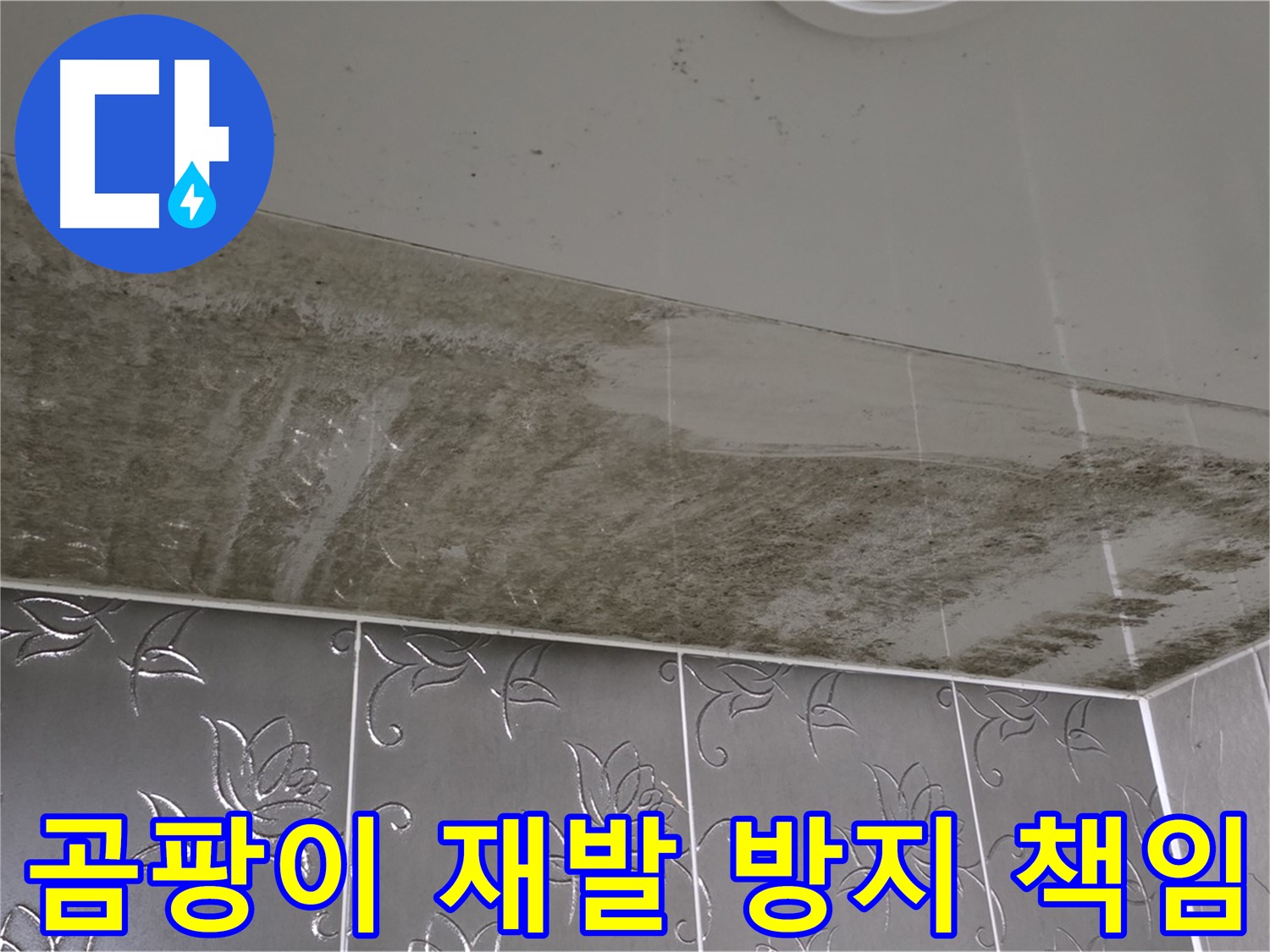 곰팡이 욕실 - 재발 방지를 위한 완벽한 시공과 책임감 있는 전문가