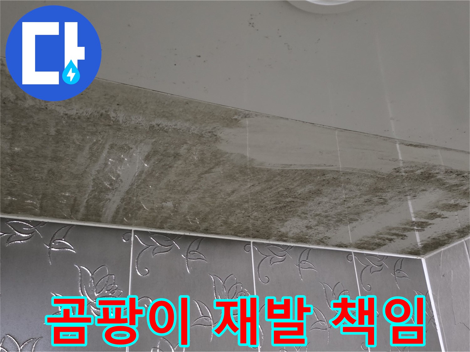 곰팡이 욕실 - 재발 방지를 위한 완벽한 시공과 책임감 있는 전문가!