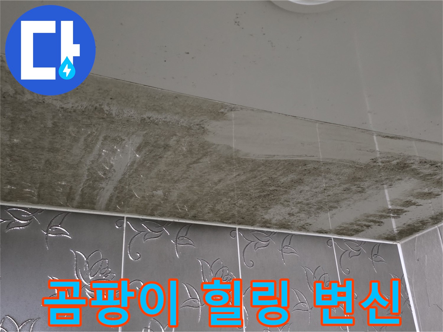 곰팡이 지옥 욕실 - 누수 원인 해결 후 쾌적한 힐링 공간으로 변신! 완벽 차단!