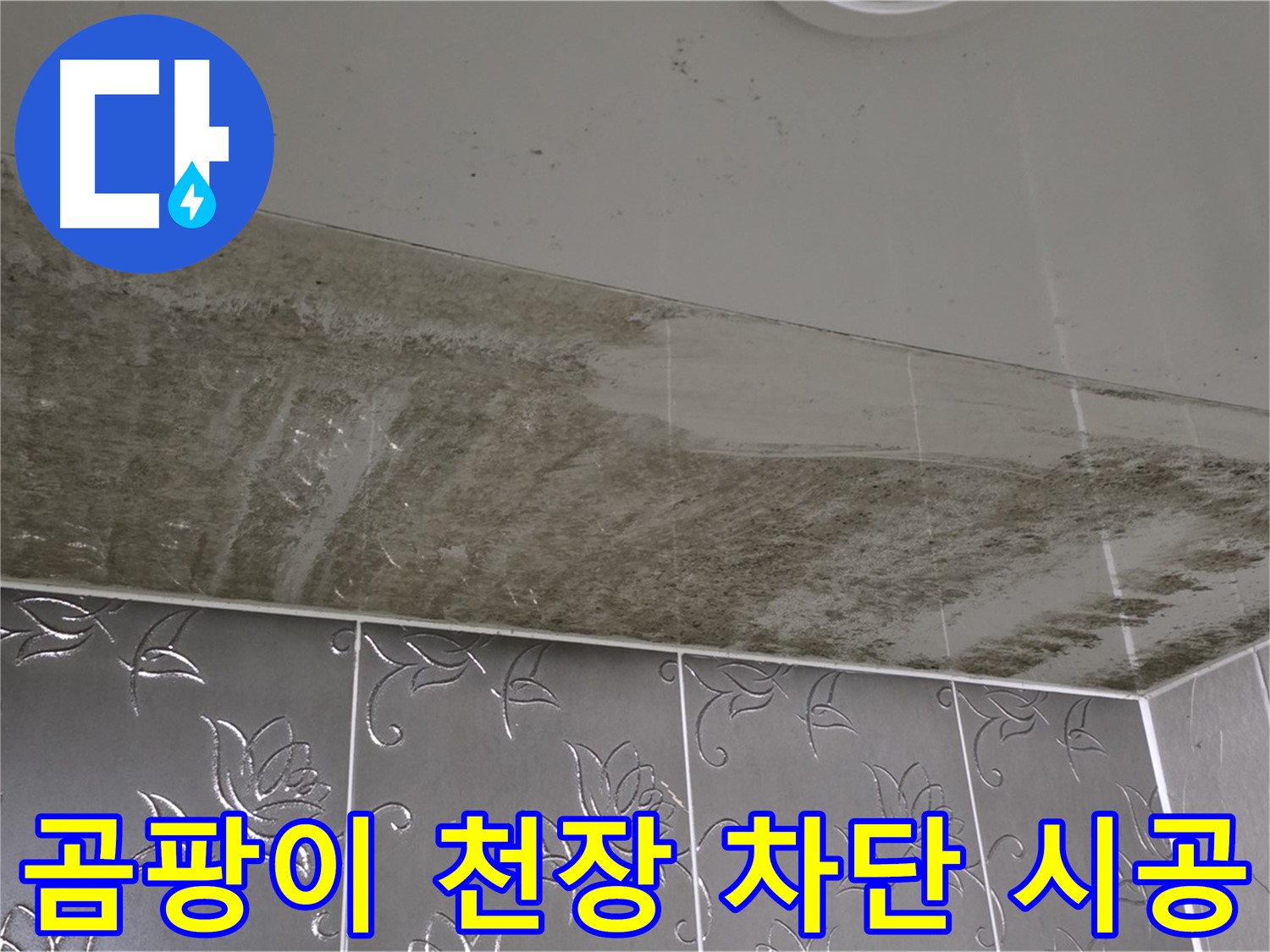 곰팡이 천장 - 누수 원인 해결 후 완벽하게 차단하는 전문가의 시공