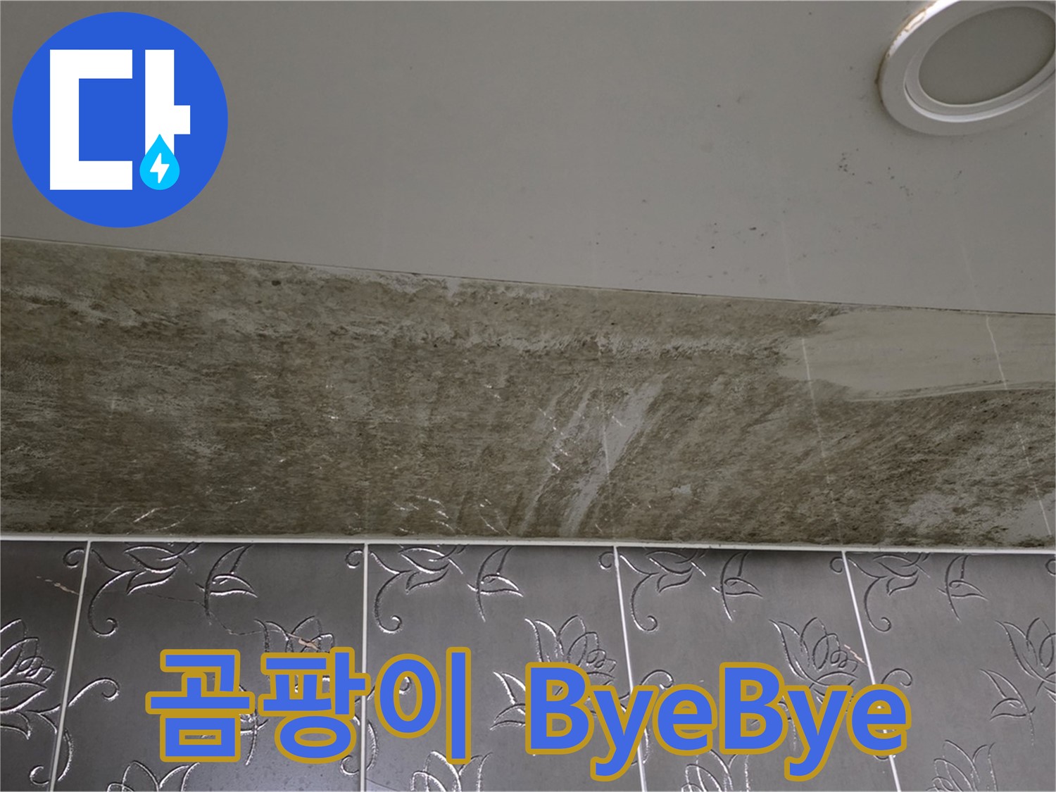 곰팡이 핀 화장실 천장 - 곰팡이 ByeBye, 뽀송뽀송 Hello