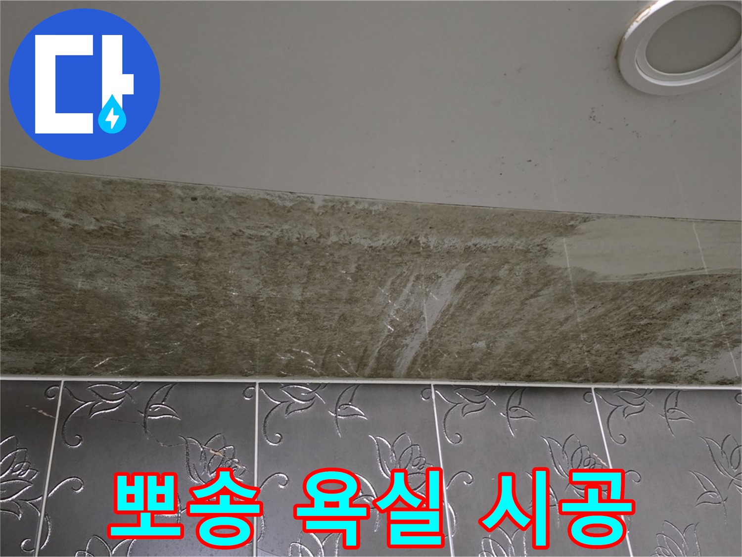 곰팡이 핀 화장실 천장 - 곰팡이 제로, 뽀송뽀송한 욕실! 확실하게 책임지고 시공해 드리겠습니다!