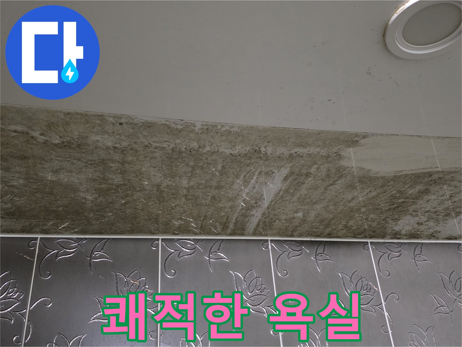 곰팡이 핀 화장실 천장 - 곰팡이 제로, 쾌적한 욕실 선물