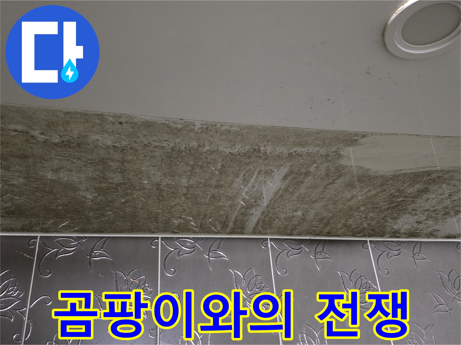 곰팡이 핀 화장실 천장 - 곰팡이와의 전쟁 선포