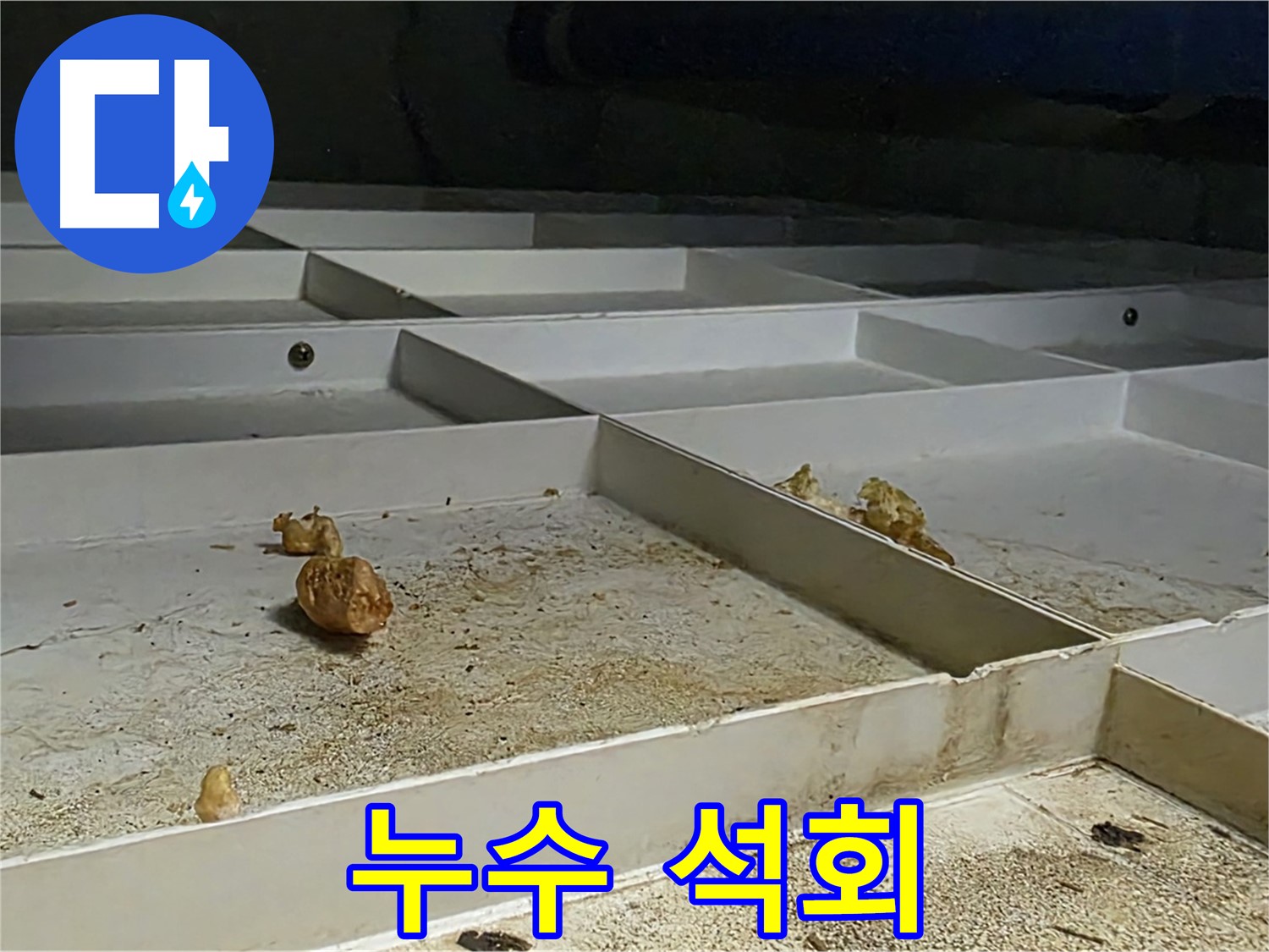 누수 석회 - 누수로 인한 석회 고드름