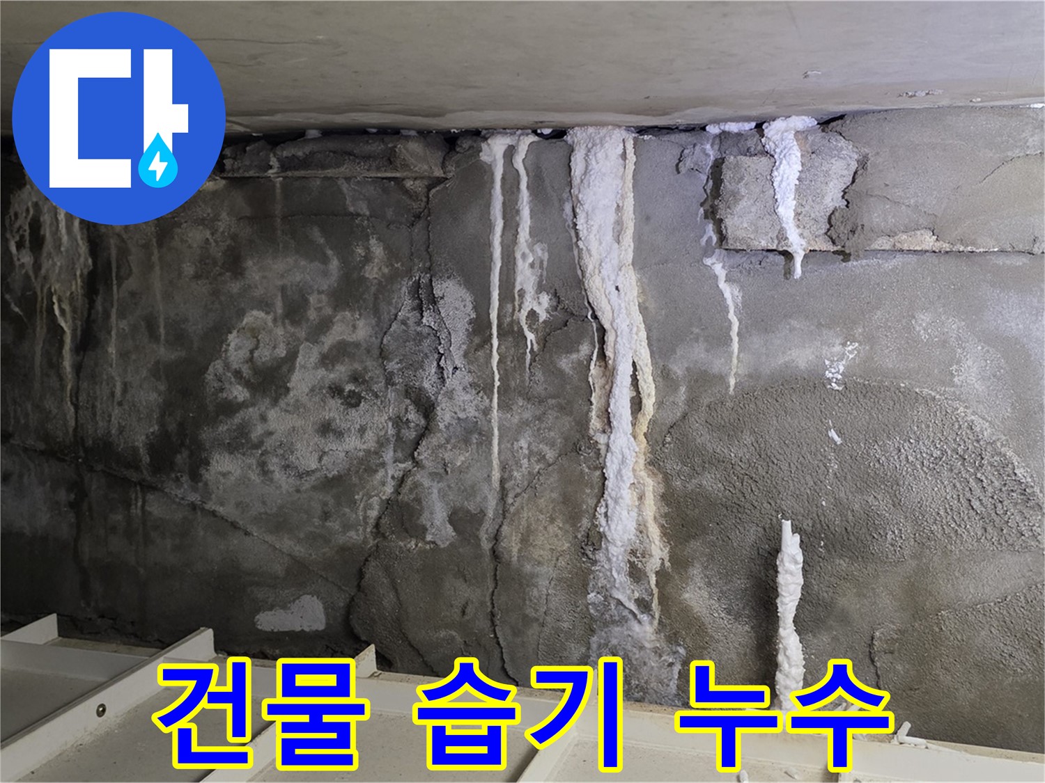 벽에 습기가 차는 건물 누수 - 곰팡이 발생 위험, 빠른 점검