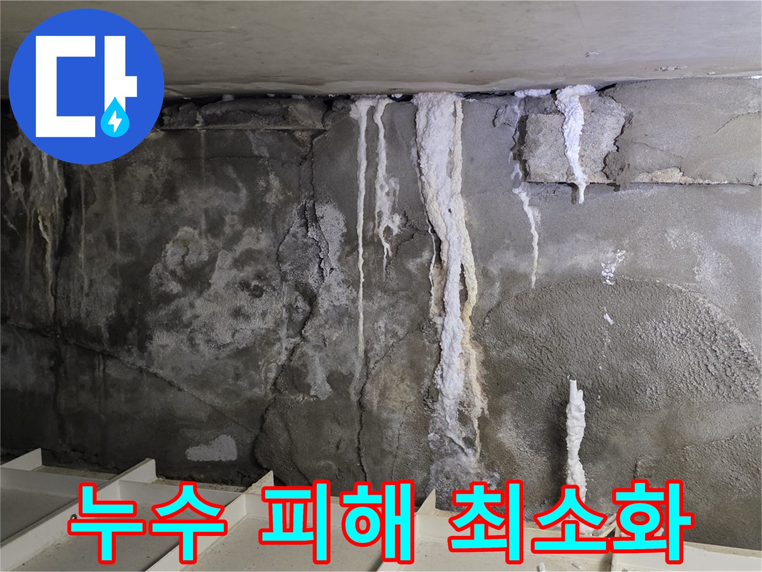 분당 운중동 건물 누수 - 누수 피해 최소화, 신속 해결!